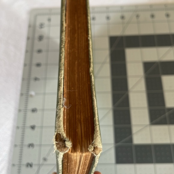 City Ballads by Will Carleton, published in 1885 by Harper & Brothers - Picture 5 of 16